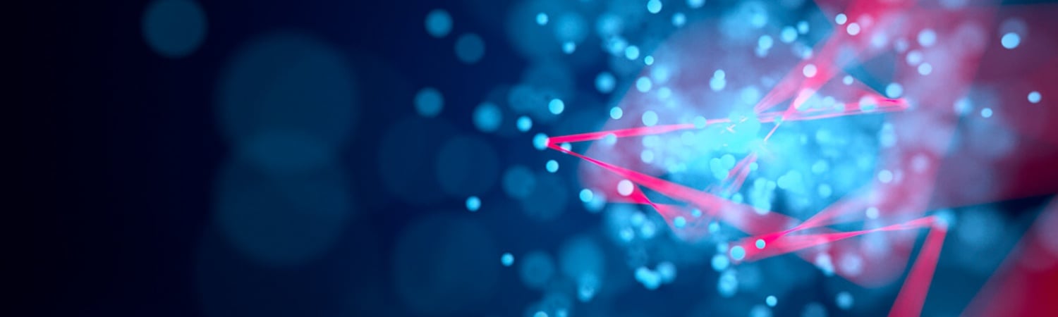 Team Duemila lancia la piattaforma cloud per la compliance EUDR